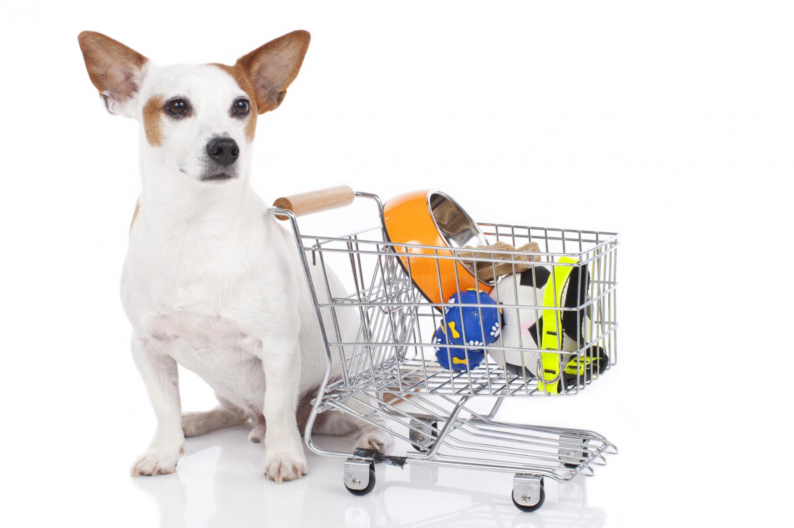 Удобно ли покупать товары для животных в интернет-магазине с доставкой на дом?