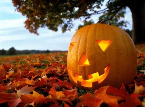 Как правильно и весело подготовиться и отпраздновать праздник Хеллоуин
