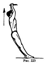 Упражнения для развития бицепса плеча и сгибателей предплечья