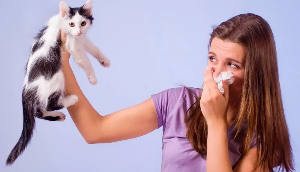 Что делать, если ваш домашний питомец страдает от аллергии?