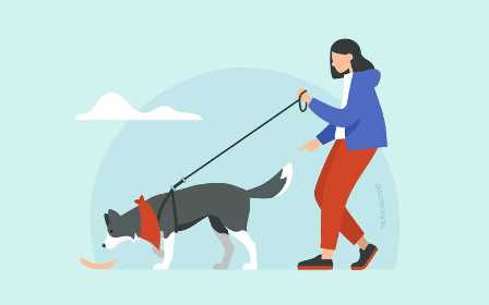 Домашнее обучение собак: простые трюки и команды для начинающих