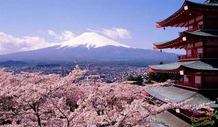 Достопримечательности Японии: вишневые сады и гейши в тенях Фудзиямы