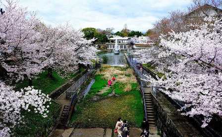 Города мира, которые стоит посетить весной: насладитесь цветением