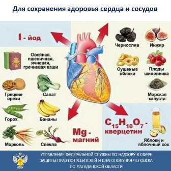 Как правильно питаться для сохранения здоровья сердца и сосудов