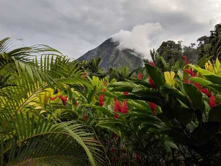 Коста-Рика: тропические джунгли, вулканы и экзотическая флора и фауна