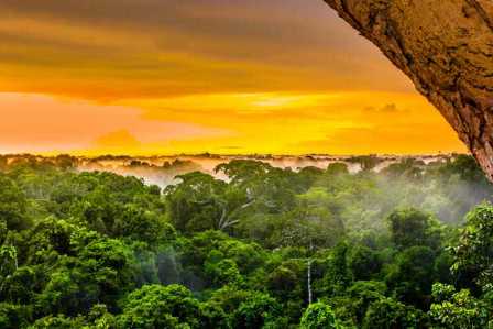 Национальные парки Бразилии: джунгли и красоты Амазонки