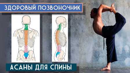 Упражнения для укрепления спины и позвоночника