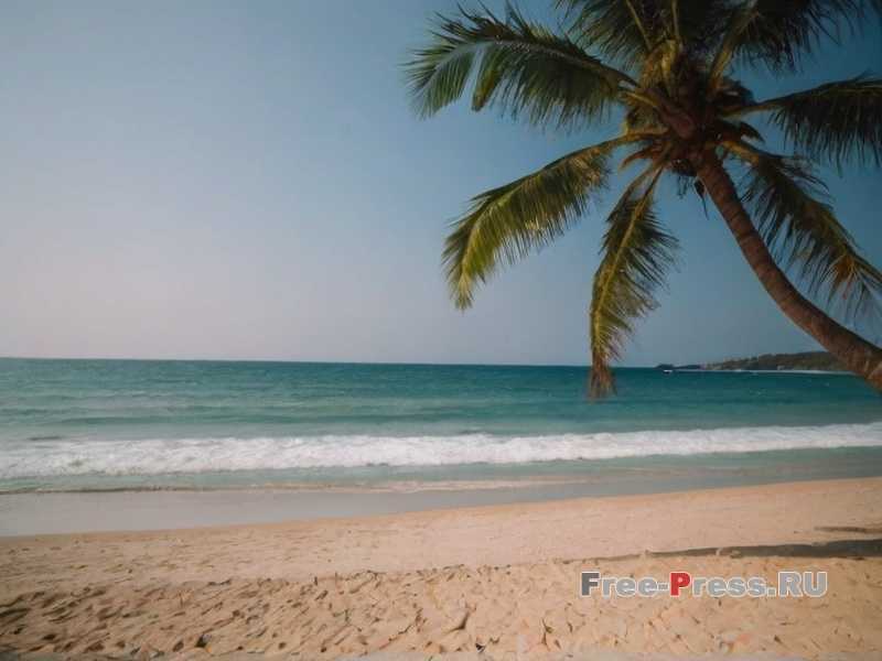 Как выбрать идеальный курорт для эко-туризма и устойчивого отдыха