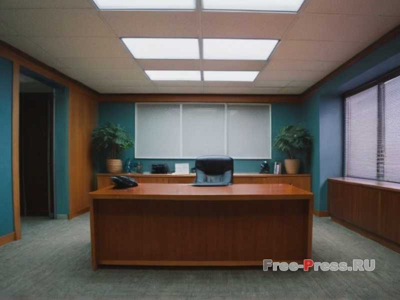 Как выбрать карьеру в области психотерапии и психологии