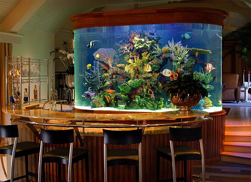 Как выбрать современный аквариум