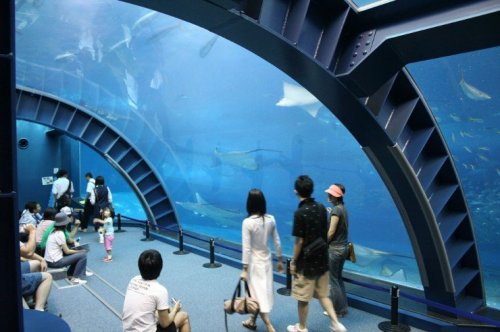 Крупнейшие аквариумы мира
