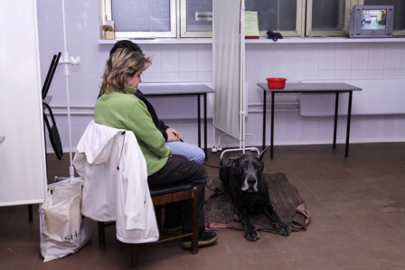 Ветеринарная клиника «Беланта», метро Каширская