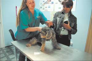Ветеринарная клиника «Шерри», метро Планерная