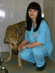 Ветеринарная клиника «Зоовет», метро Полежаевская