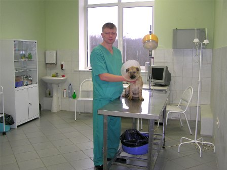 Ветеринарный Центр «Сопико Ltd.», метро Новослободская