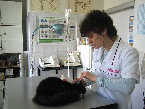 Ветеринарная клиника «Герстендорф», метро Выхино