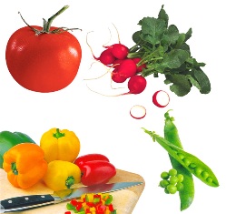 Плоды, овощи, фрукты