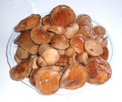 Туршия (соленье) из грибов