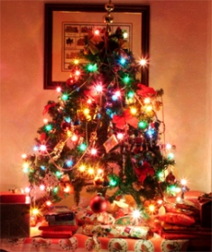 Почему на Рождество украшают елки