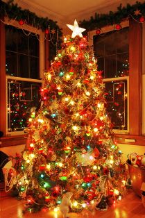 История появления рождественской елки