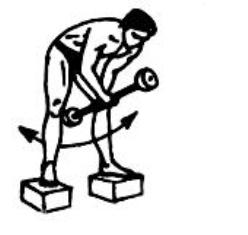 Упражнения для развития мышц-разгибателей спины