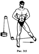 Упражнения для развития мышц таза и бедра