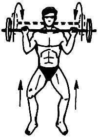 Упражнения для развития мышц верхней части спины