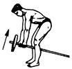 Упражнения для развития мышц средней части спины