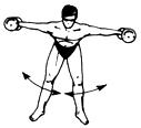 Варианты суперсерий и комбинаций упражнений для развития широчайшей мышцы спины и ее синергистов