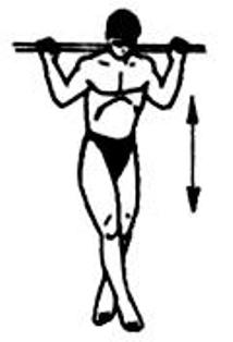 Варианты суперсерий и комбинаций упражнений для развития широчайшей мышцы спины и ее синергистов
