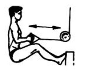 Упражнения для развития мышц средней части спины